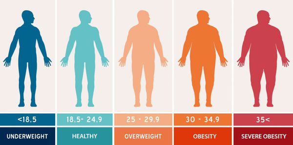 Индекс массы тела при ожирении