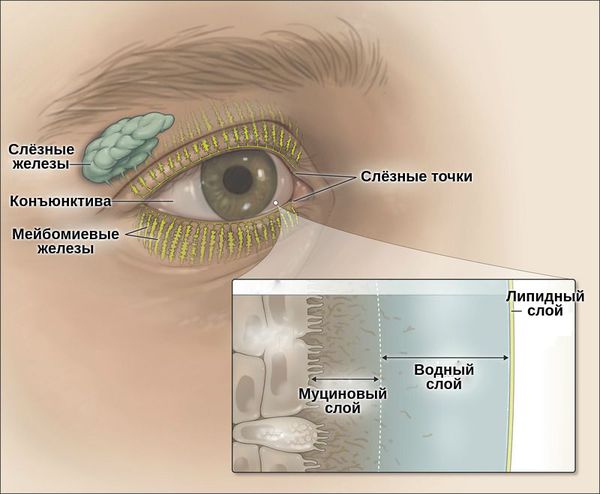 Лечение сухости глаза искусственная слеза thumbnail