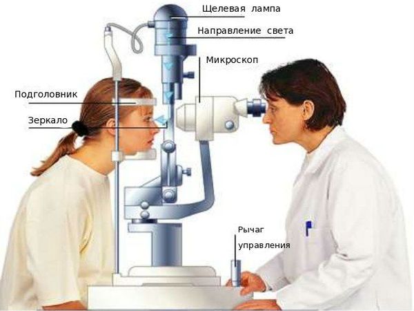 Биомикроскопия