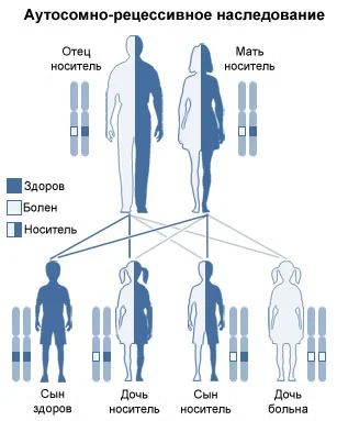 Аутосомно-рецесивный тип наследования