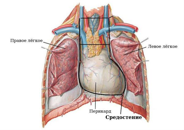 Нагноение на внутренней стороне губы чем лечить. Смотреть фото Нагноение на внутренней стороне губы чем лечить. Смотреть картинку Нагноение на внутренней стороне губы чем лечить. Картинка про Нагноение на внутренней стороне губы чем лечить. Фото Нагноение на внутренней стороне губы чем лечить