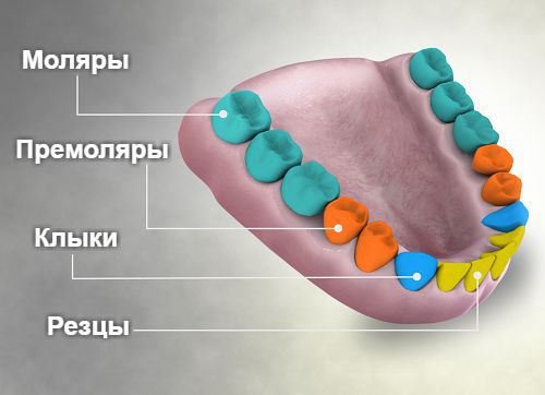 Как понять что в десне гной. Смотреть фото Как понять что в десне гной. Смотреть картинку Как понять что в десне гной. Картинка про Как понять что в десне гной. Фото Как понять что в десне гной