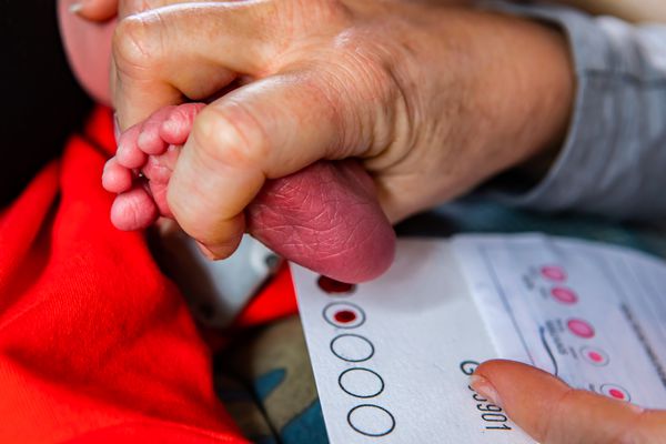 Скрининг новорождённых Скрининг новорождённых