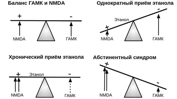 Баланс ГАМК и NMDA рецепторов