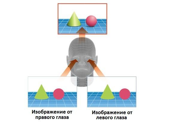 Бинокулярное зрение