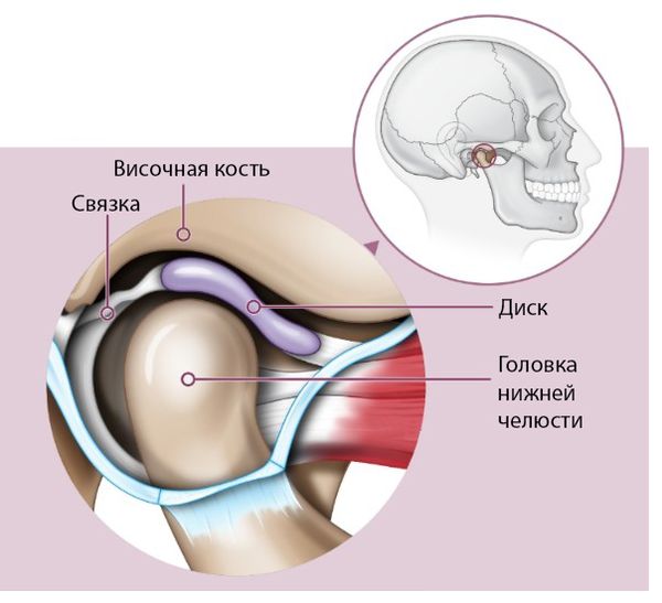 Строение ВНЧС Строение ВНЧС