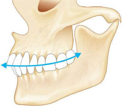 Окклюзионная плоскость (воображаемая линия, на которой встречаются верхние и нижние зубы)