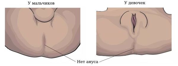 Бір жерде камминг жасайтын тобырдың порно жинағы