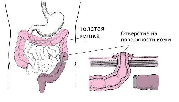 Карина Барбидің секс фотосуреттері