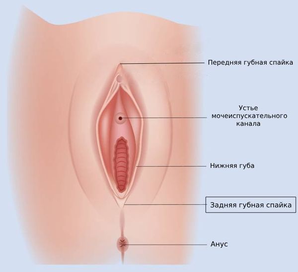 Әдемі қисықтары бар тамаша әйелдер порнофотосуреттері