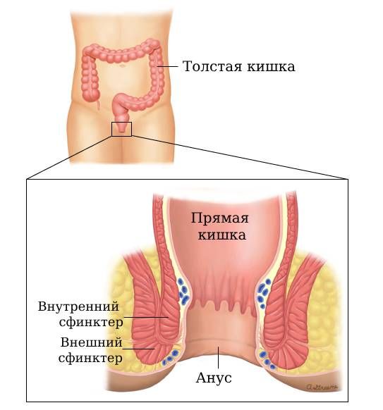 Анальды ауыз