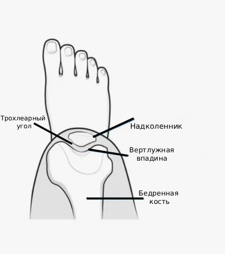 Трохлеарный угол Трохлеарный угол