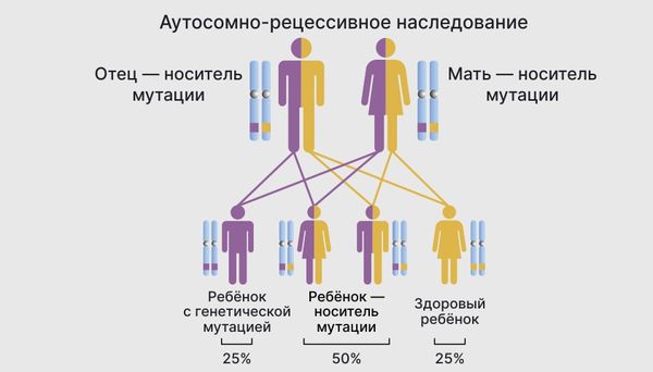 Аутосомно-рецессивный тип наследования