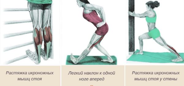 Упражнения для растяжки мышц задней поверхности голени