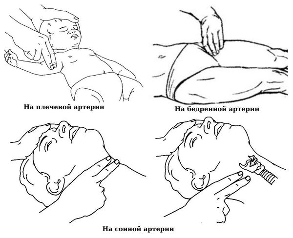 Определение пульса