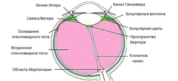 Отслоение сетчатки глаза