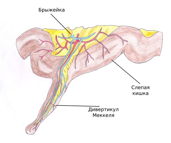 Неміс порно фильмдерінің лагерлері
