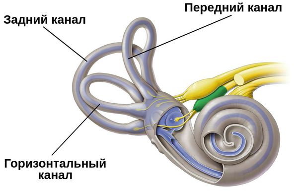 Ушной камень что такое