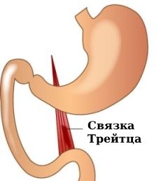 Связка Трейтца