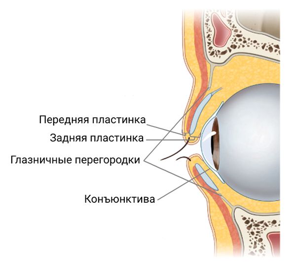 Строение века