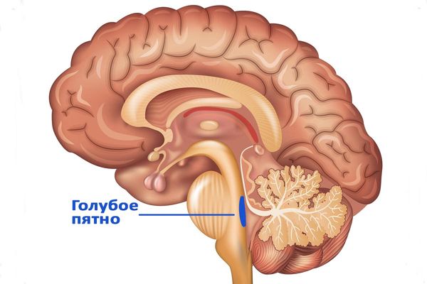 Голубое пятно