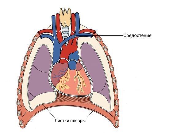 Раскрытие поверхностного абсцесса (флегмоны) в Киеве