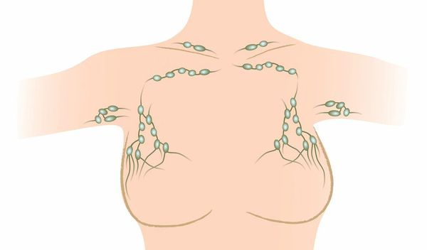 Группы лимфоузлов в области груди