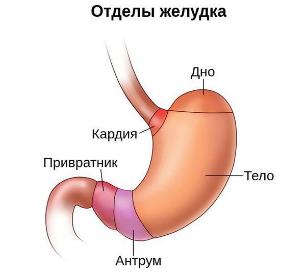 Диета при пониженной кислотности желудка атрофический гастрит