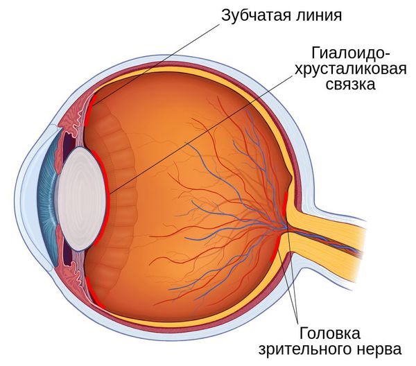 Чем лечить при кровоизлиянии в глаз