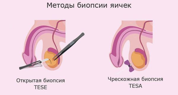 Аяқ киімдегі үйдегі порно