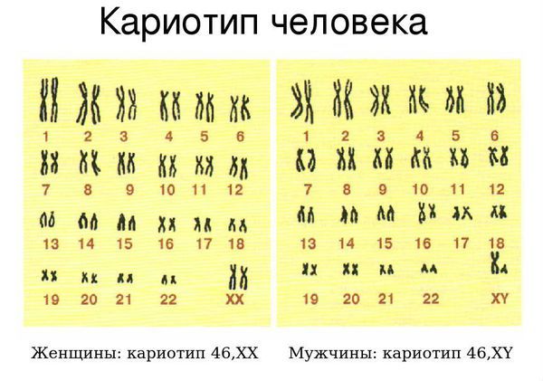 Майдағы пенистің суреті