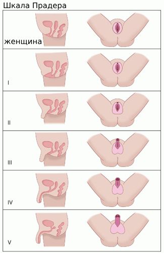 50 жастан асқан әйелдердің секс видеосы