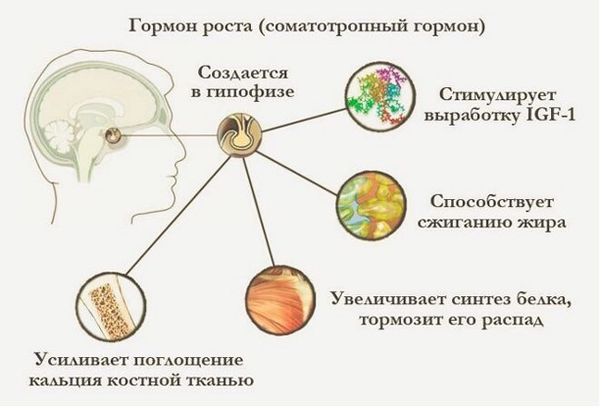 Акромегалия