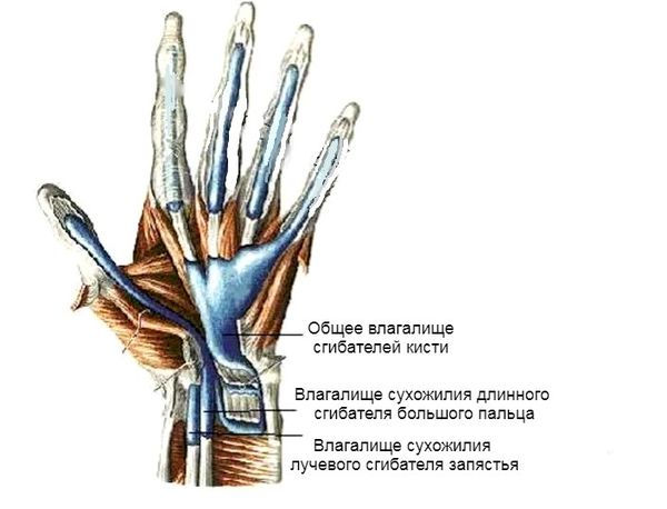 Опущение стенок влагалища: определение, симптомы и лечение