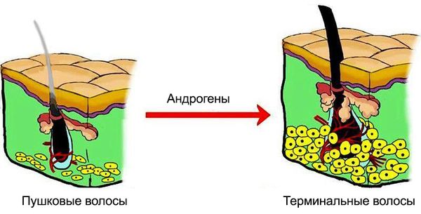 Женщина после 45 лет: катастрофа или новая жизнь? Часть 1