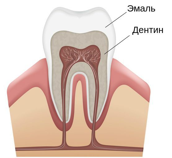 Зубы Гетчинсона (Hutchinson'S Teeth)