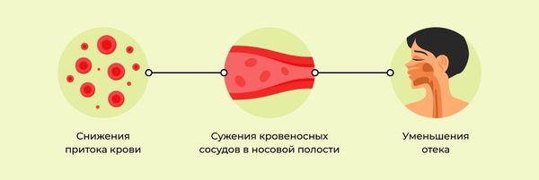 Действие сосудосуживающих капель
