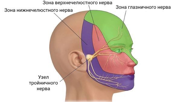 Тройничный нерв