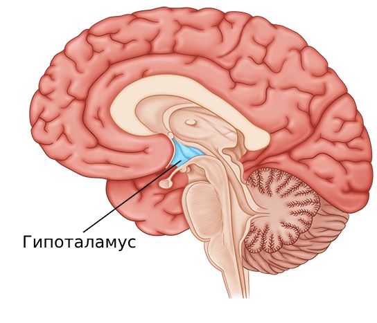 Кластерная головная боль — лечение в Москве | Оптимальные цены