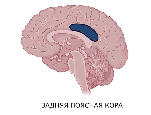 ЗПК