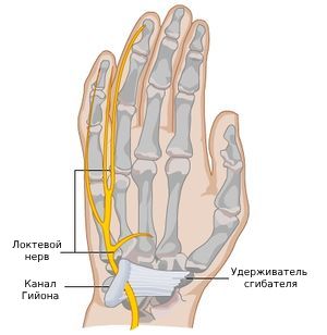 Lezbiyenning kokraklarini sorish fotosurati