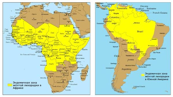 Карта распространения жёлтой лихорадки [11]