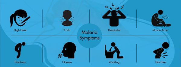 Симптомы малярии