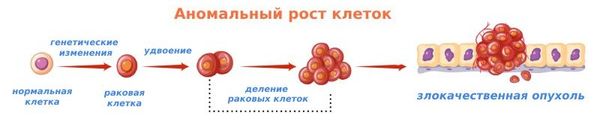 Процесс превращения нормальной клетки в злокачественную опухоль