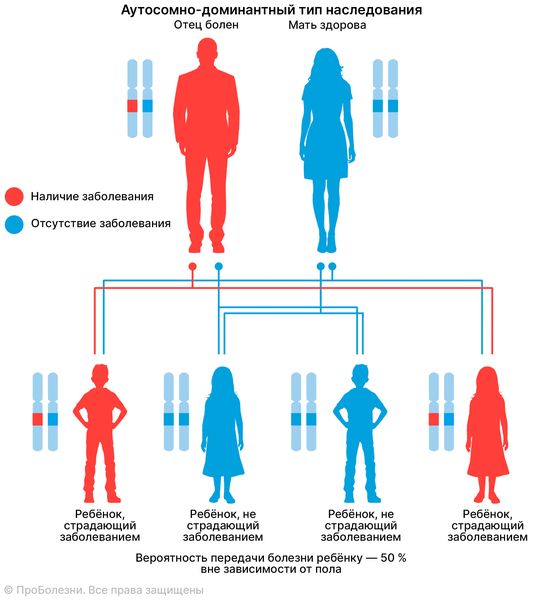 Аутосомно-доминантный тип наследования