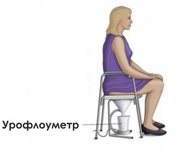Могут ли котята писать во сне. Смотреть фото Могут ли котята писать во сне. Смотреть картинку Могут ли котята писать во сне. Картинка про Могут ли котята писать во сне. Фото Могут ли котята писать во сне