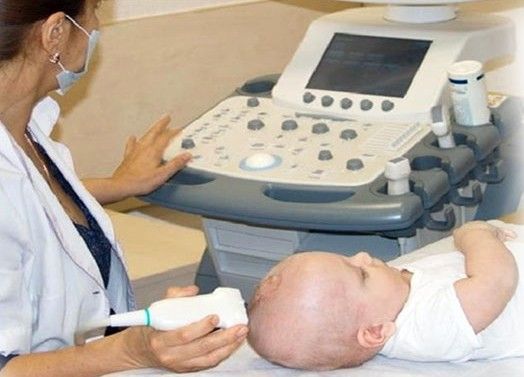 Нейросонография [21]