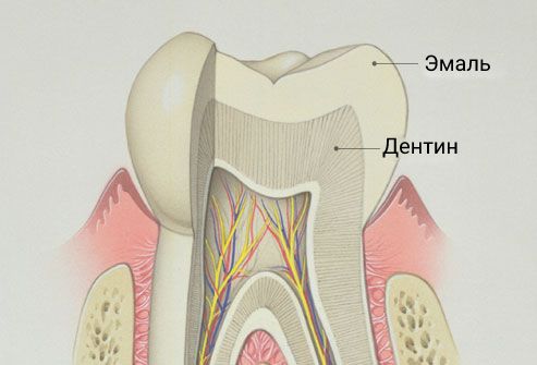 Дентин