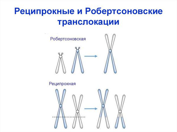 hromosomnye translokacii s