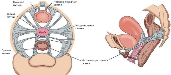 Вагинальный свищ – причины, симптомы, диагностика и методы лечения в «СМ-Клиника»